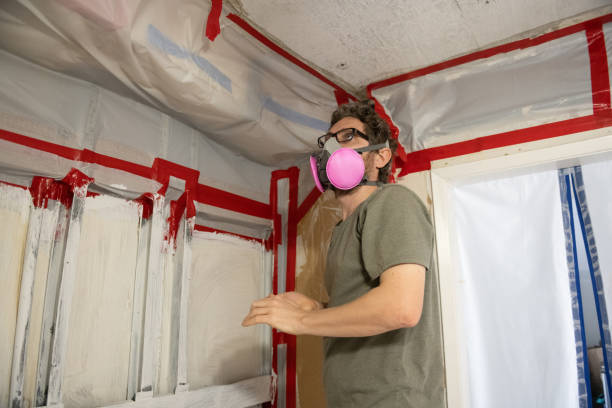 Mold Remediation for Vacation Homes in Coal Creek, CO